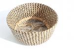 Seagrass basket LTC 1324