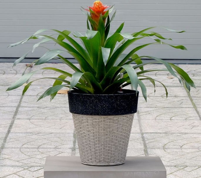 Plastic planter LTPL 2012